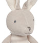 Stuffed Animal Bunny