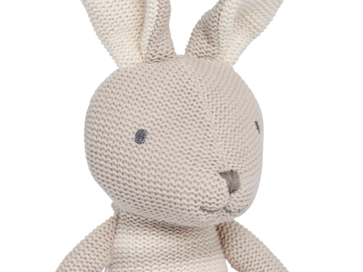 Stuffed Animal Bunny