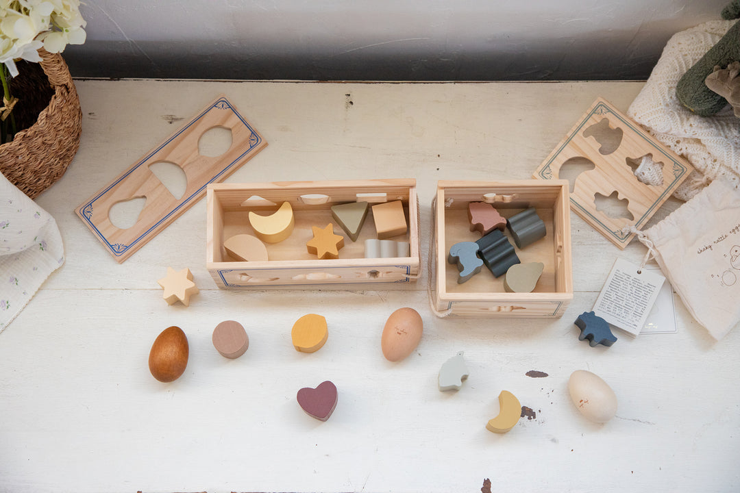 Shape Sorter FSC