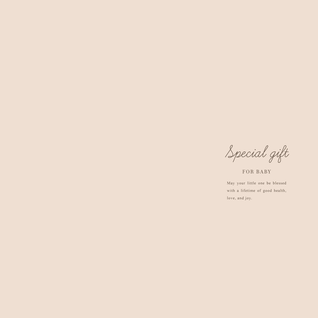 【26S】3000_カタログギフトSpecial Gift for Baby