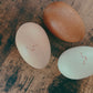 Rattle Eggs