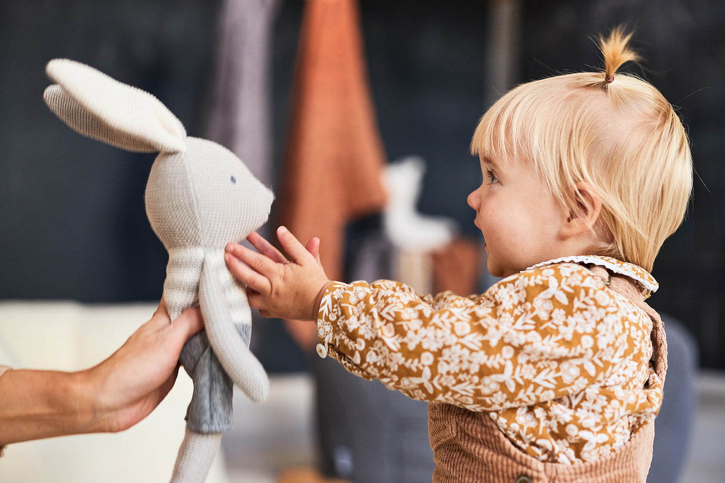 Stuffed Animal Bunny