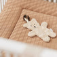 Pacifier Cloth Teddy Bear