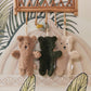 Pacifier Cloth Teddy Bear