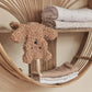 Pacifier Cloth Teddy Bear