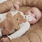 Pacifier Cloth Teddy Bear