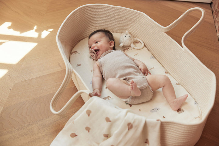 Jollein-090-001-00104-Moses Basket-Naturel-Rela-X JP