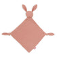 Jollein-031-594-66048-Pacifier Cloth Bunny Ears-Chestnut-Rela-X JP