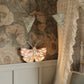 Little Lights-LL073-206-Butterfly Lamp-Strawberry Cream-Original-Rela-X JP